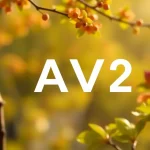 AOMedia launches next generation AV2 codec for late 2025