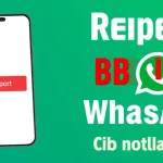 How to Report and Block Contacts on WhatsApp and Their Uses