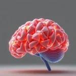 CXL and Its Impact on the Evolving Memory Hierarchy