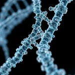 DNA data storage in living bacteria: bits and bytes explained