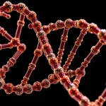 DNA Data Storage Challenges: Physics vs. Economics